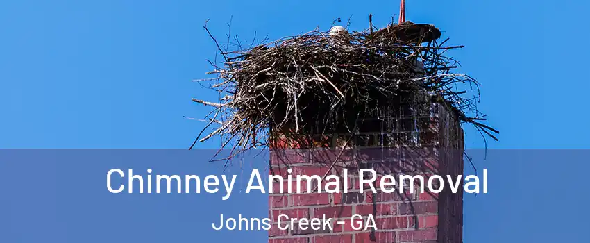  Chimney Animal Removal Johns Creek - GA