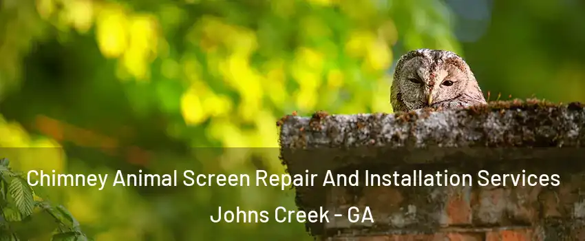  Chimney Animal Screen Repair And Installation Services Johns Creek - GA
