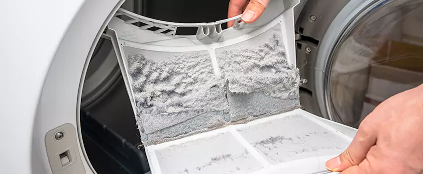 Best Dryer Lint Removal Company in Johns Creek, Georgia