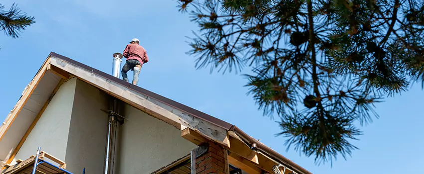 Birds Removal Contractors from Chimney in Johns Creek, GA