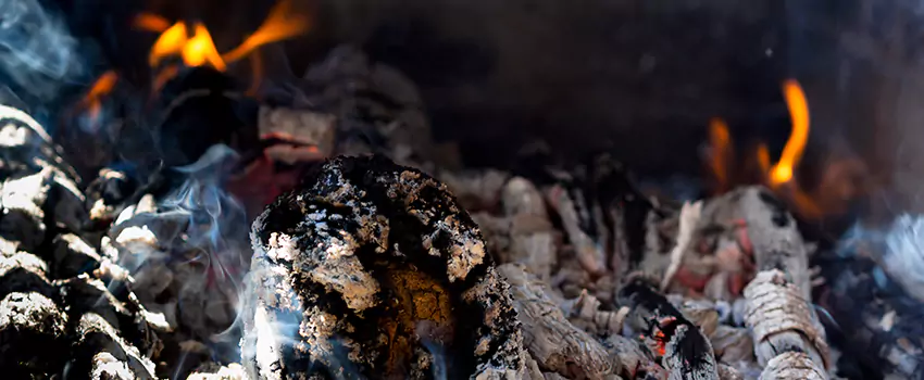 Creosote Removal Experts in Johns Creek, GA