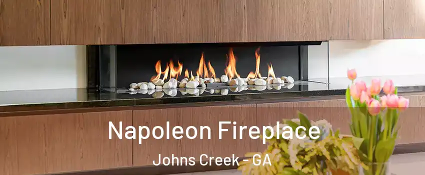  Napoleon Fireplace Johns Creek - GA
